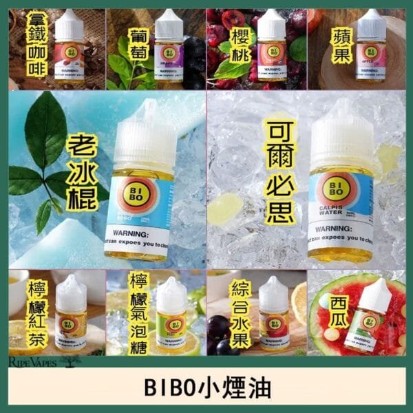 BIBO經典系列主機小煙油30ML