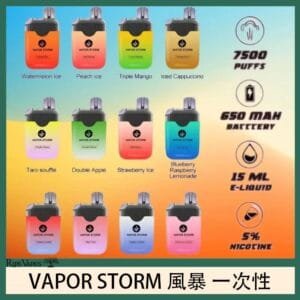 Vapor Storm風暴電子煙7500口（5%）一次性